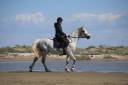 Top poney à vendre! 