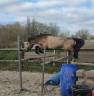 Poney C