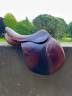 Selle 17 ‘ - Forestier 