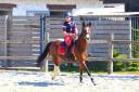 Poney 5 ans