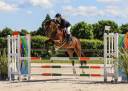 Top jeune cheval CSO
