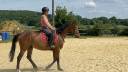 HONGRE 4 ans extra facile et gentil 