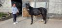 Ponette 4ans pratique