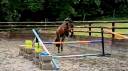 Poney D 3 ans Gros potentiel 