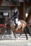 Jument de dressage 