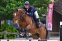 Cherche cheval à confier