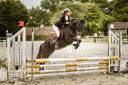PONEY D - 4 ANS