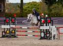 Jument 8 ans CSO