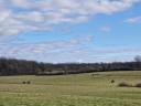 Haras d'élevage d'exception de 39ha