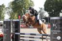 Etalon Welsh pony - ipo138
