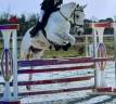 HONGRE CSO LOISIRS
