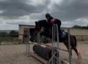 Poney hors côtes 5 ans 