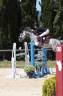 Poney de 8 ans avec toise FEI