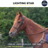 LIGHTING STAR - AQPS - 4 ANS