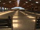 Cherche Cavalier Entraineur