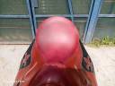 Selle de Dressage Ludomar Geminis