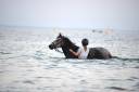 Adorable ponette D pfs 