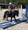 Ponette shetland 1m04 5 ans pp 