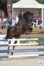 Jument CSO 8 ans