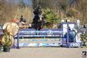Jument de sport de 6 ans