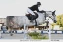 A vendre cheval amateur élite
