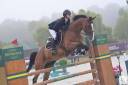 Hongre 8 ans CSO