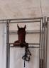 Cheval 