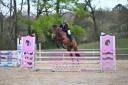 Ponette 6 ans Prête sur 110cm
