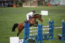 Soigneur et entretien propriété - Haras CSO Calvados