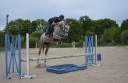 Jument 4ans par untouchable27 x Diamant de Semilly 