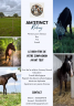 Pension familiale - Am'stinct Riding 28160 Dampierre sous brou
