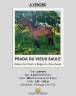 Jument CSO/CCE 4 ans