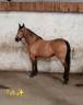 espagnole 7ans