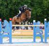 Cheval CSO idéal cadet et junior 