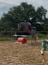 Propose do ou simple cours sur jument de 5ans
