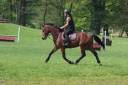 Cheval de sport 5 ans