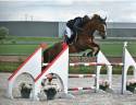 Vends hongre 12 ans par Kannan