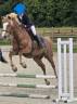 Ponette D PFS, très gentille, sport, porteuse
