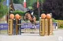 Hongre 12 ans SF pour Cso Am1/2