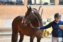 4 ans gros moyens 