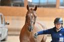 4 ans tres chic gros  moyens