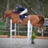 Cavalière & enseignante