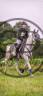 Cheval endurance 