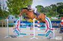 Excellent cheval de concours 130 