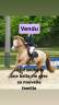 Vends gentil cheval polyvalent 