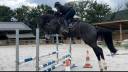 Poulain 2025 par Dominator 2000 Z 
