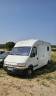 Renault Master aménagé transport chevaux
