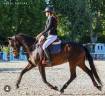 A vendre Ponette SF Top Origine Quinoto Bois Margot 