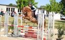 Belle ponette de 6 ans, facile, sortie sur 1,10/1,15 m