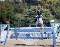 Hongre 10ans pour 135/140